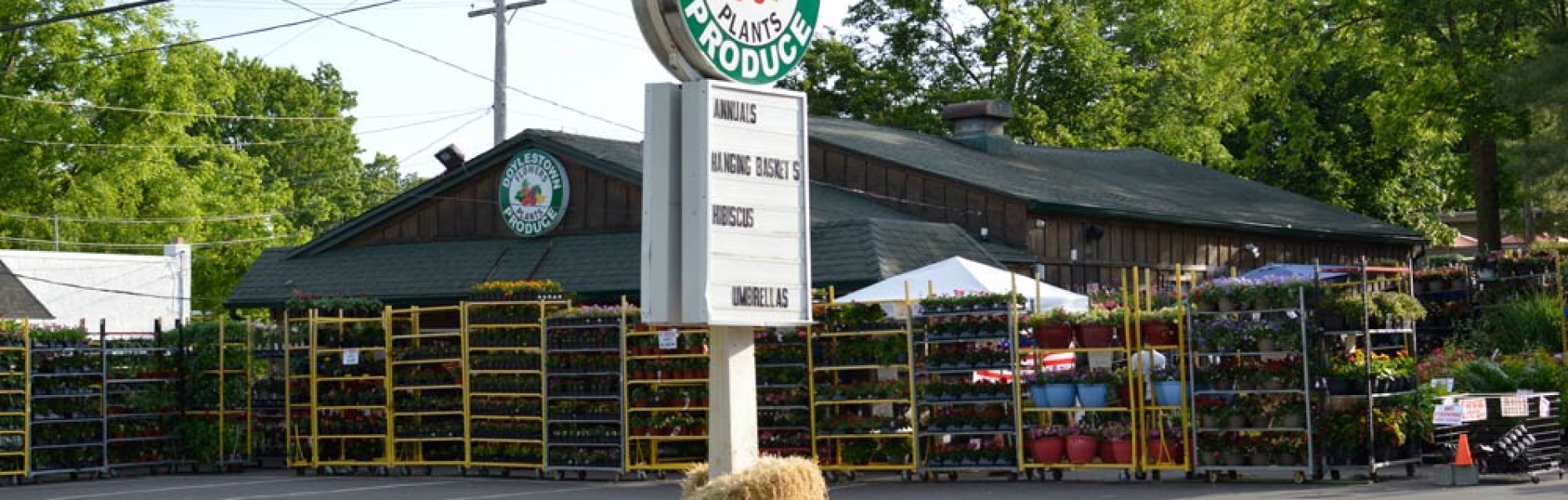 Doylestown Flowers, Plant and Produce In Doylestown